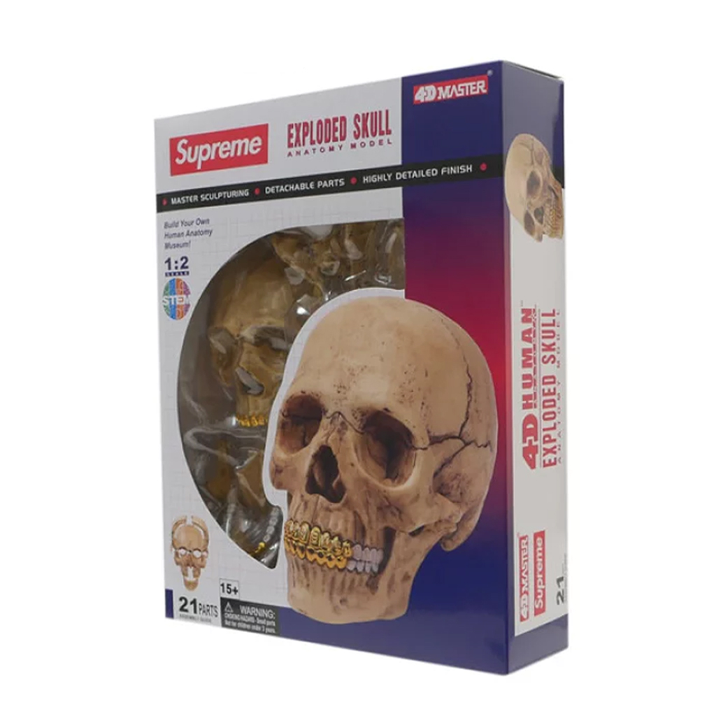 Supreme 4D Human Skull Model – Streetwear4u.pl
